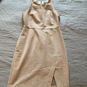 Banana Republic dress (6 Petite)